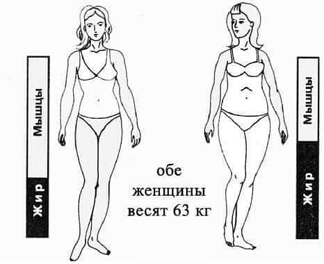 Расчёт веса: калькулятор определения массы тела и избыточного веса